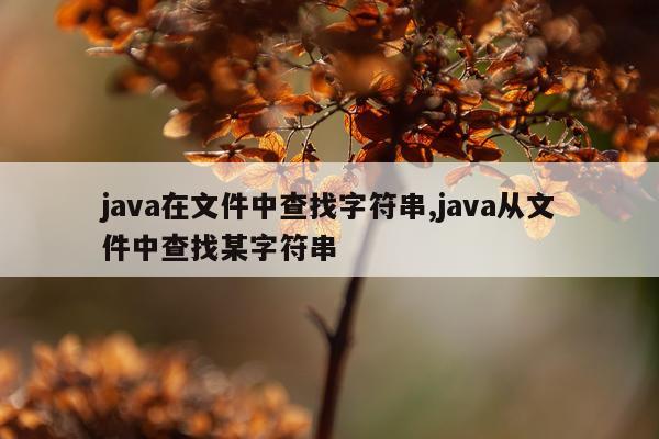 java在文件中查找字符串,java从文件中查找某字符串