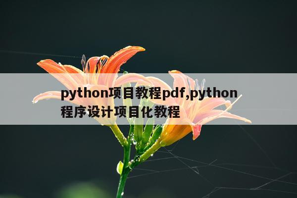 python项目教程pdf,python程序设计项目化教程