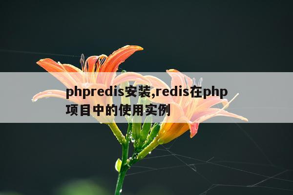 phpredis安装,redis在php项目中的使用实例