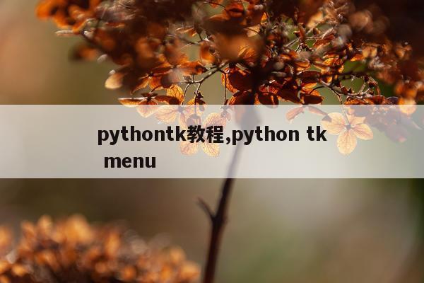 pythontk教程,python tk menu