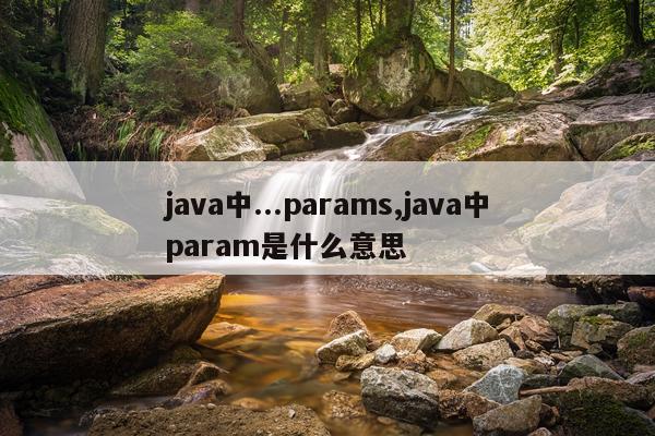 java中...params,java中param是什么意思