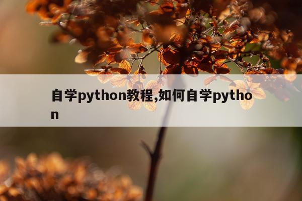 自学python教程,如何自学python