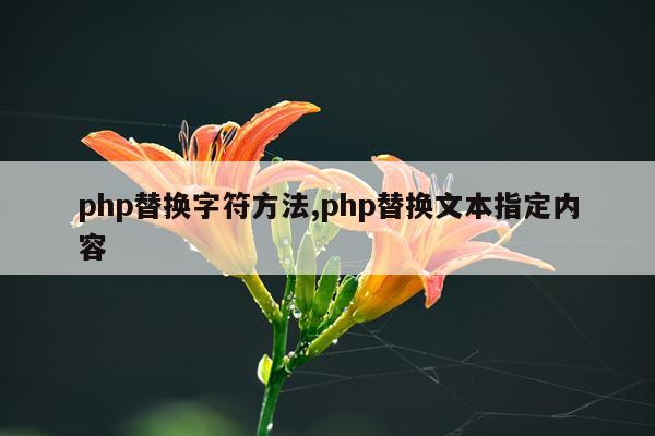 php替换字符方法,php替换文本指定内容