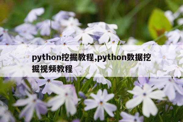 python挖掘教程,python数据挖掘视频教程
