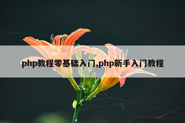 php教程零基础入门,php新手入门教程