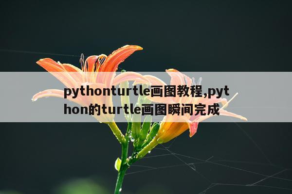 pythonturtle画图教程,python的turtle画图瞬间完成