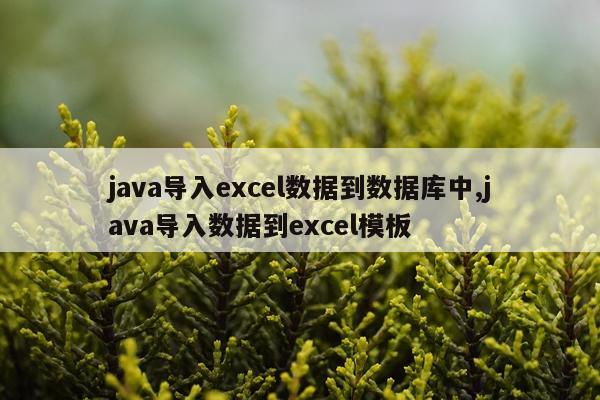 java导入excel数据到数据库中,java导入数据到excel模板