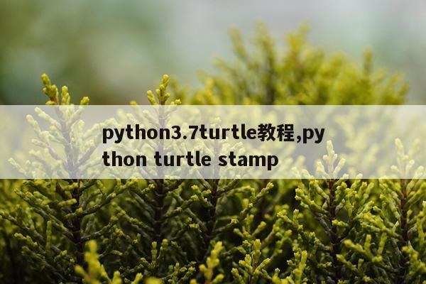 python3.7turtle教程,python turtle stamp
