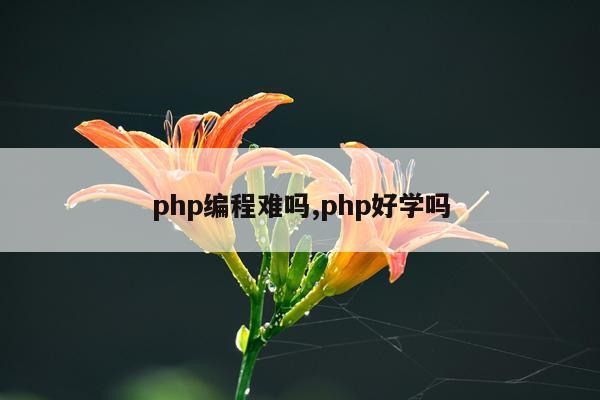 php编程难吗,php好学吗