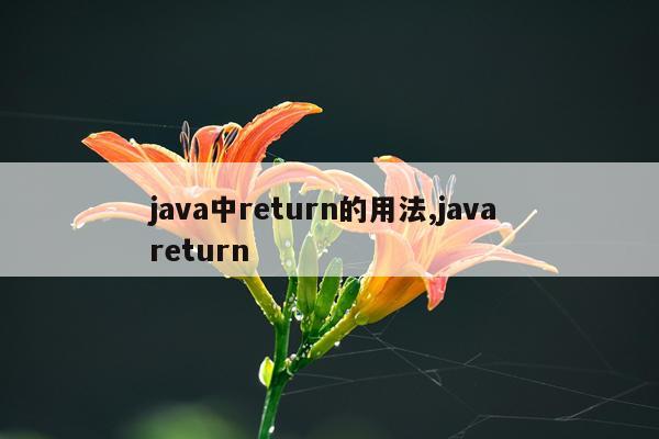 java中return的用法,java return
