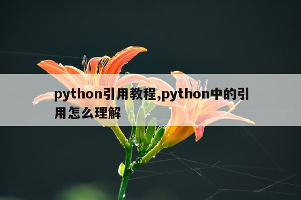 python引用教程,python中的引用怎么理解