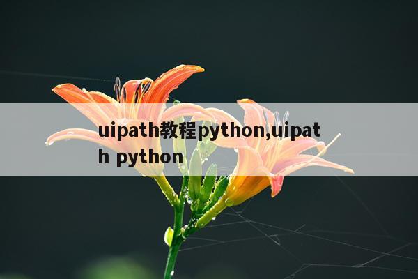 uipath教程python,uipath python
