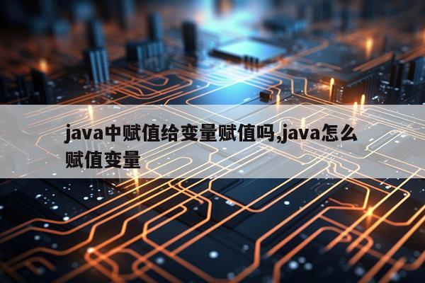 java中赋值给变量赋值吗,java怎么赋值变量