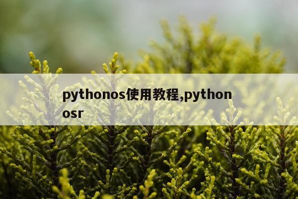 pythonos使用教程,python osr