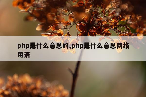 php是什么意思的,php是什么意思网络用语