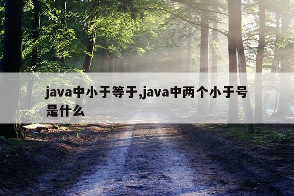 java中小于等于,java中两个小于号是什么