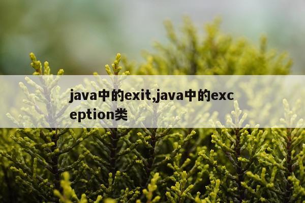 java中的exit,java中的exception类