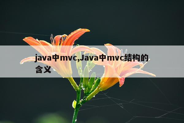 java中mvc,Java中mvc结构的含义