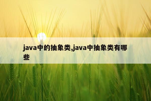 java中的抽象类,java中抽象类有哪些