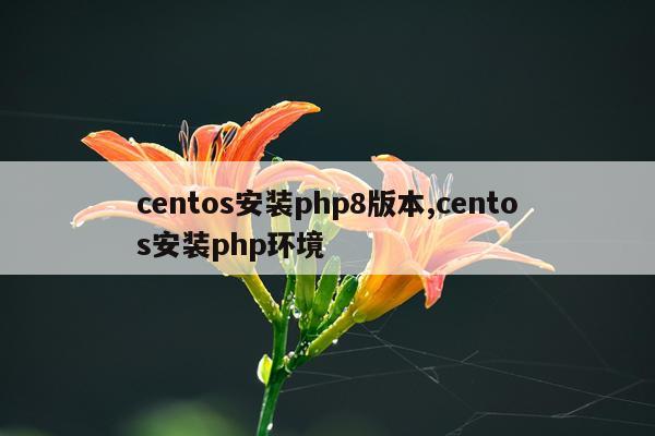 centos安装php8版本,centos安装php环境