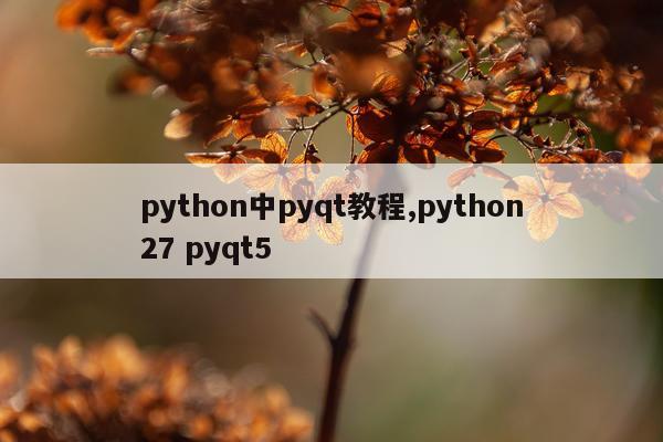 python中pyqt教程,python27 pyqt5