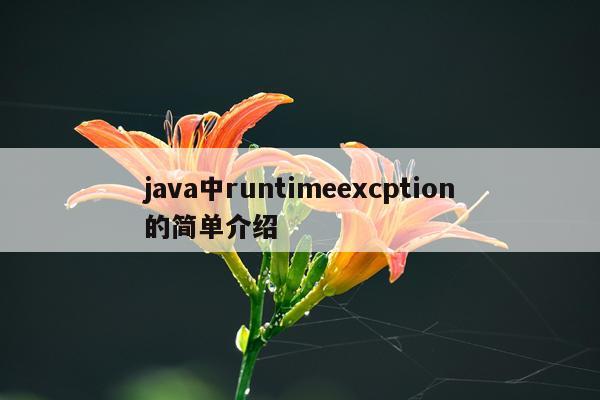 java中runtimeexcption的简单介绍