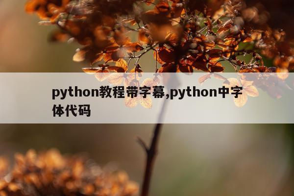 python教程带字幕,python中字体代码