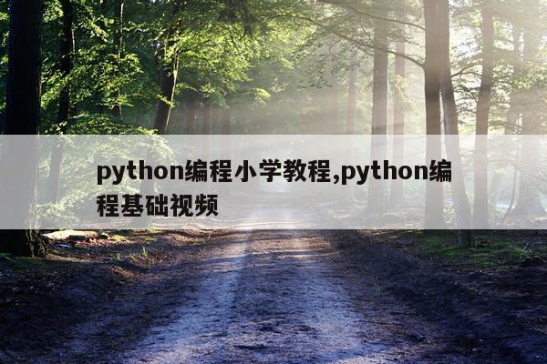 python编程小学教程,python编程基础视频