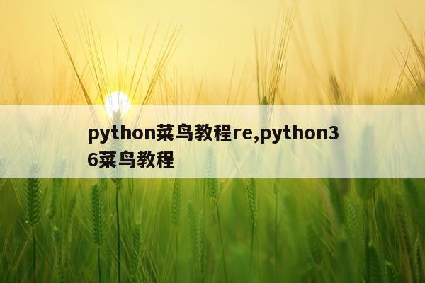 python菜鸟教程re,python36菜鸟教程