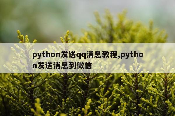 python发送qq消息教程,python发送消息到微信