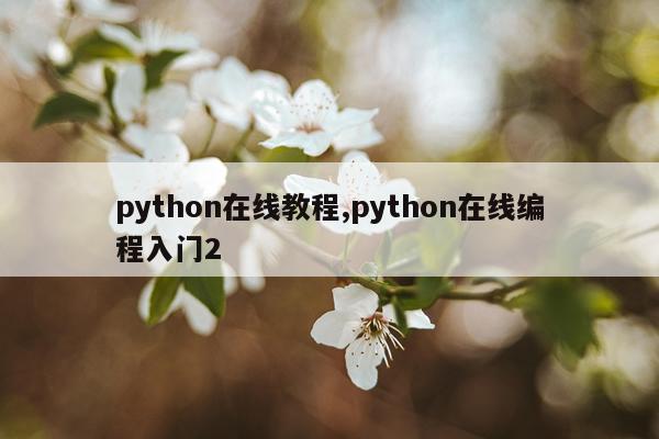 python在线教程,python在线编程入门2