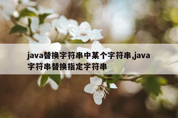 java替换字符串中某个字符串,java字符串替换指定字符串