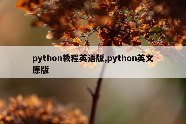 python教程英语版,python英文原版