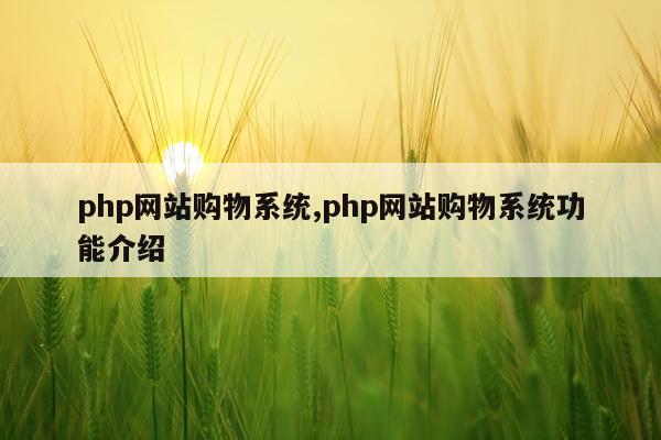 php网站购物系统,php网站购物系统功能介绍