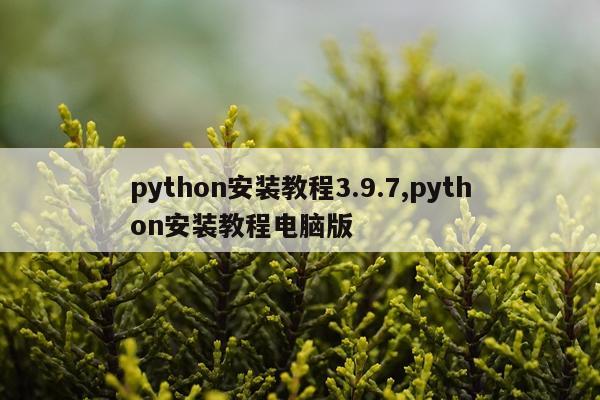 python安装教程3.9.7,python安装教程电脑版