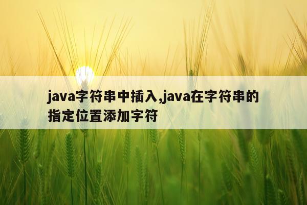 java字符串中插入,java在字符串的指定位置添加字符