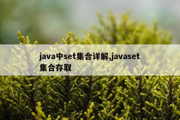 java中set集合详解,javaset集合存取