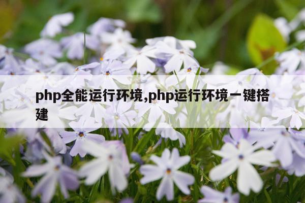 php全能运行环境,php运行环境一键搭建