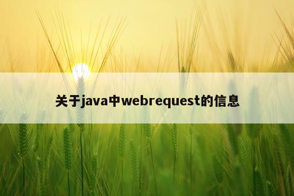 关于java中webrequest的信息