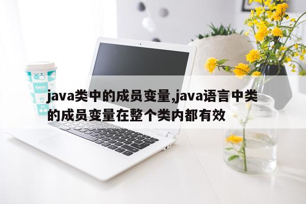 java类中的成员变量,java语言中类的成员变量在整个类内都有效