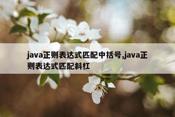 java正则表达式匹配中括号,java正则表达式匹配斜杠