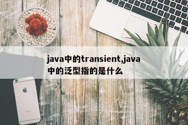 java中的transient,java中的泛型指的是什么