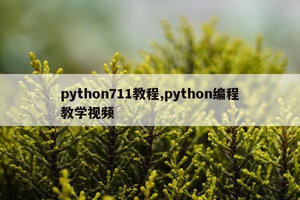python711教程,python编程教学视频