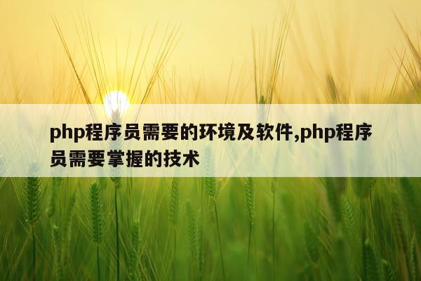 php程序员需要的环境及软件,php程序员需要掌握的技术