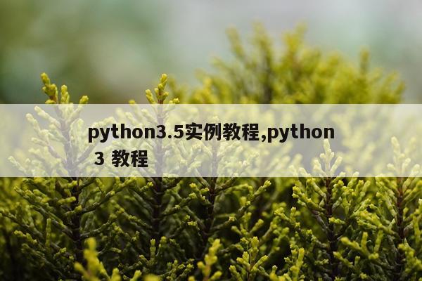 python3.5实例教程,python 3 教程