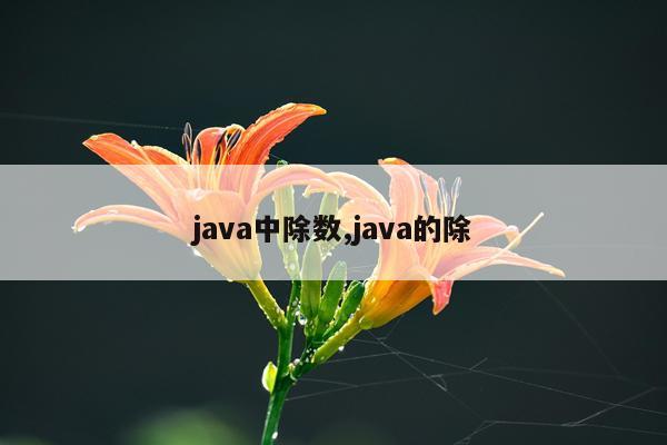 java中除数,java的除