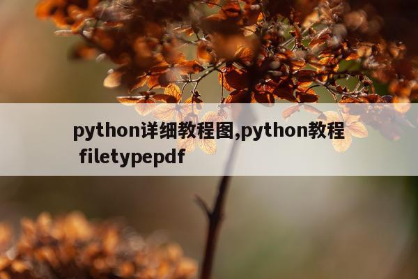 python详细教程图,python教程 filetypepdf