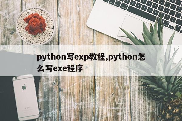 python写exp教程,python怎么写exe程序