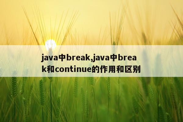 java中break,java中break和continue的作用和区别