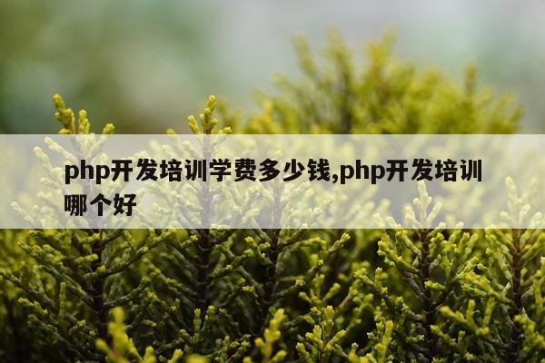 php开发培训学费多少钱,php开发培训哪个好